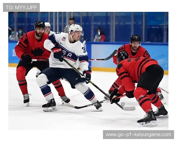 冰球世界杯北美队展现惊人速度与力量，北美冰球职业联赛总决赛